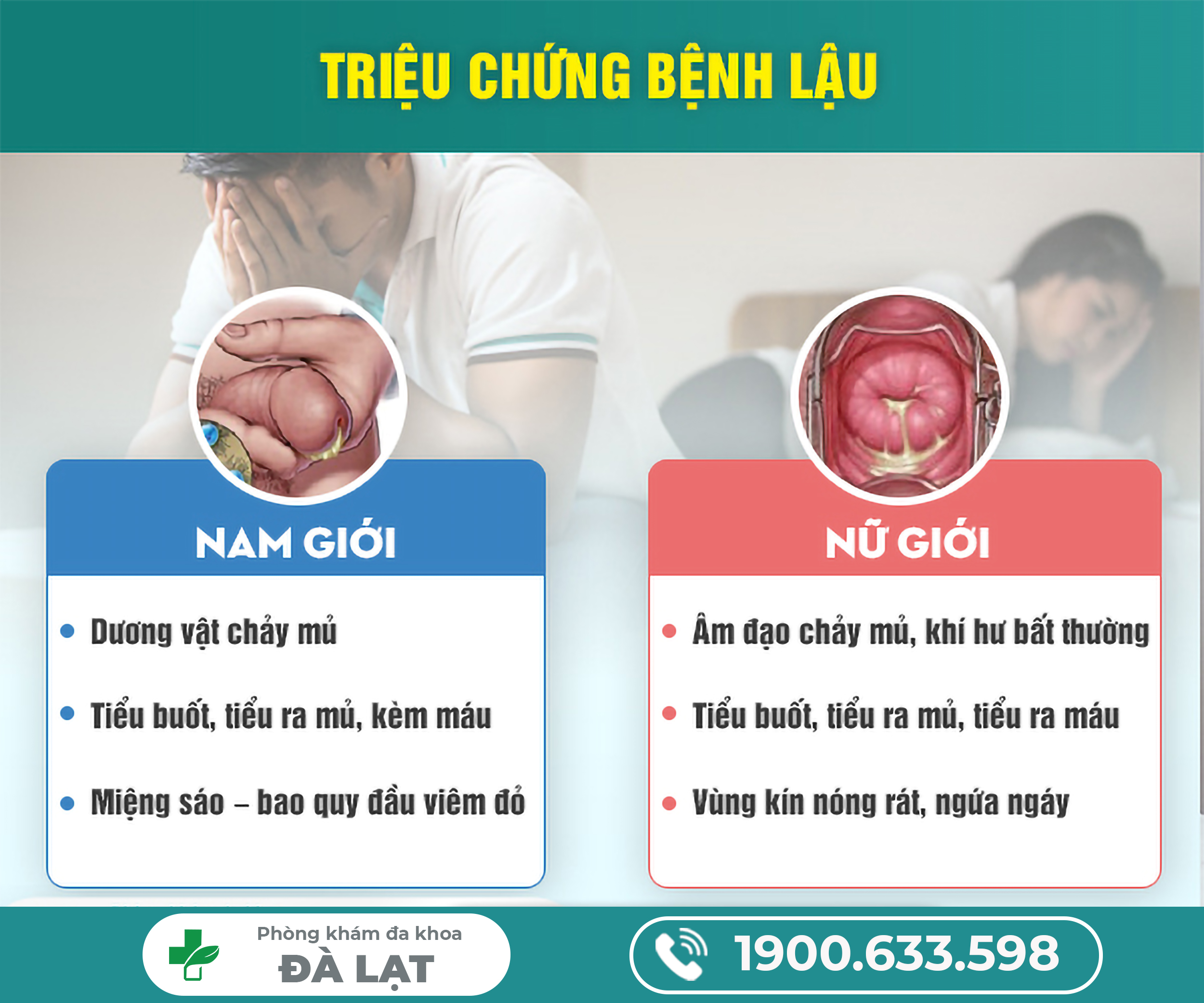 Hình ảnh minh họa